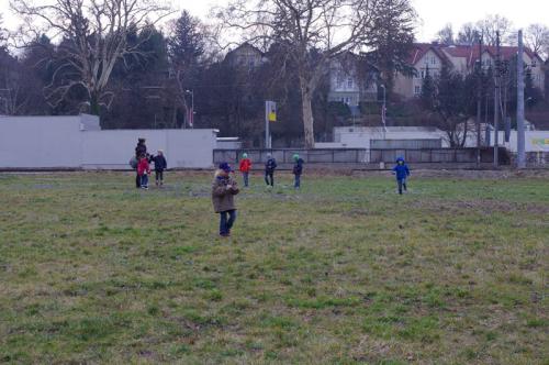 so-viele-schneeglockerl