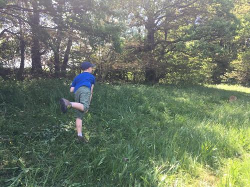 img 1688-andere