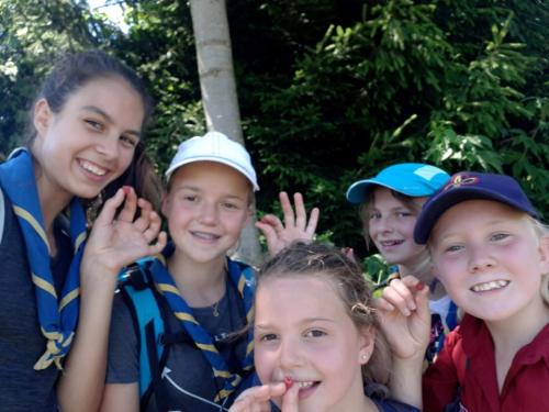 img 3094